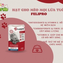 Thức ăn mèo FELIPRO - vị hải sản bao 8kg gồm 16 gói 500gr