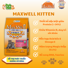 Hạt dành cho mèo - MaxWell Kitten 1.5kg 