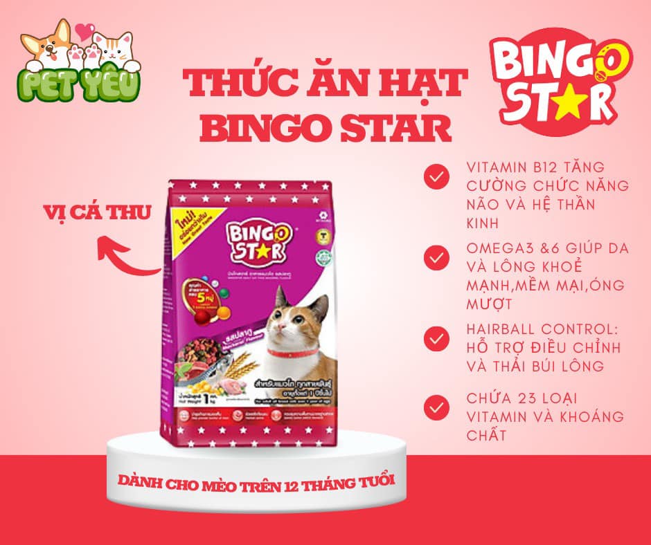 Thức ăn mèo BINGO STAR - VỊ CÁ THU gói 1kg