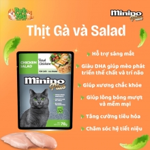 Pate Minino Plus - Vị Gà & Salad 70gr