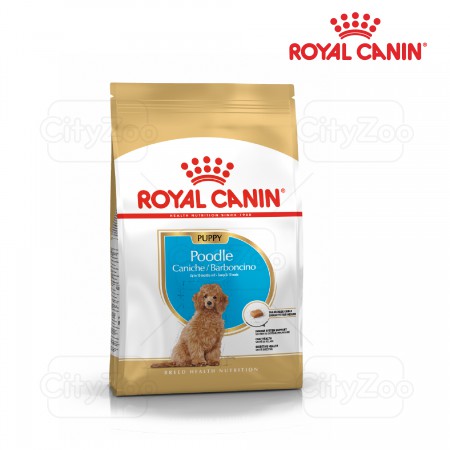 ROYAL CANIN POODLE PUPPY - Thức ăn dành cho chó con giống Poodle gói 500gr
