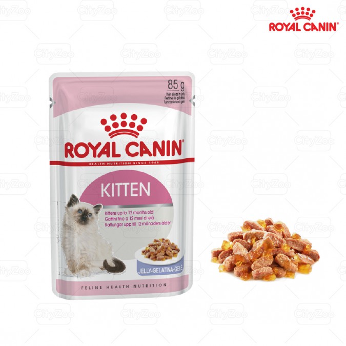 Royal Canin Kitten Jelly - dành cho mèo con gói 85gr