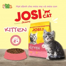 Thức ăn hạt JOSI Cat dành cho mèo mẹ và mèo con - Vị Gà & Cá túi 1.9kg