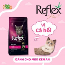 Thức ăn hạt Reflex dành cho mèo kén ăn - Vị Cá hồi túi 1.5KG