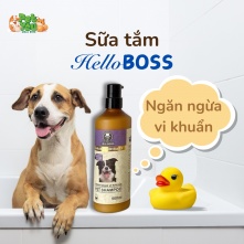 Sữa tắm HelloBoss dành cho chó dòng ngăn ngừa vi khuẩn 500ml