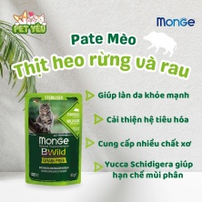 Pate mèo cao cấp Monge BWild Grain Free 85gr - vị THỊT HEO RỪNG  & RAU