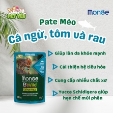 Pate mèo cao cấp Monge BWild Grain Free 85gr - vị CÁ NGỪ , TÔM & RAU