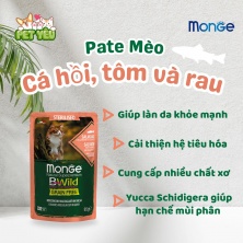 Pate mèo cao cấp Monge BWild Grain Free 85gr - vị CÁ HỒI , TÔM & RAU