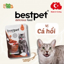 Pate Bestpet dành cho mèo trưởng thành - Vị cá hồi túi 70g