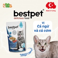 Pate Bestpet dành cho mèo trưởng thành - Vị cá ngừ & cá cơm túi 70g