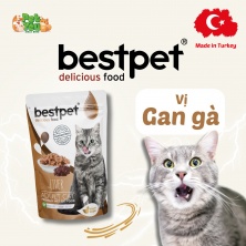 Pate Bestpet dành cho mèo trưởng thành - Vị gan gà túi 70g