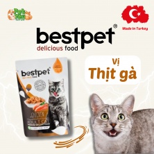 Pate Bestpet dành cho mèo trưởng thành - Vị thịt gà túi 70g