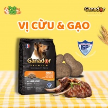 Hạt cho chó Ganador Premium Adult - Vị Cừu & Gạo 