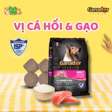 Hạt cho chó Ganador Premium Adult - Vị cá hồi & gạo 