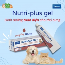 Gel dinh dưỡng NUTRI-PLUS 120g