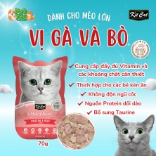 Pate cho mèo - KITCAT Petite Pouch vị Thịt gà & Bò 70g