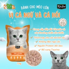 Pate cho mèo - KITCAT Petite Pouch vị Cá Ngừ & Cá Hồi 70g