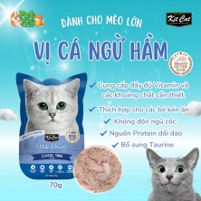 Pate cho mèo - KITCAT Petite Pouch vị Cá Ngừ hầm 70g