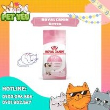 ROYAL CANIN KITTEN - Thức ăn dành cho mèo con từ 4 đến 12 tháng tuổi bao 10kg