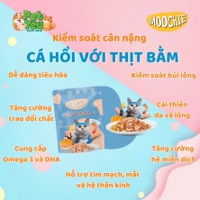 Pate cho mèo - MOOCHIE vị Cá Hồi & Thịt Bằm 70g