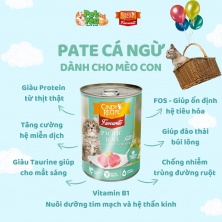 Pate Cindy Recipe Favourite - Vị Cá Ngừ dành cho mèo con