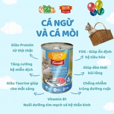 Pate Cindy Recipe Favourite - Vị Cá Ngừ và Cá Mòi dành cho mèo trưởng thành