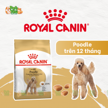 ROYAL CANIN POODLE ADULT  - Thức ăn dành cho chó lớn giống Poodle 