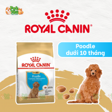 ROYAL CANIN POODLE PUPPY - Thức ăn dành cho chó con giống Poodle 