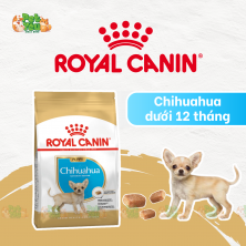 ROYAL CANIN CHIHUAHUA PUPPY - Thức ăn dành cho chó con giống CHIHUAHUA