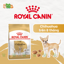 ROYAL CANIN CHIHUAHUA ADULT - Thức ăn dành cho chó lớn giống CHIHUAHUA 