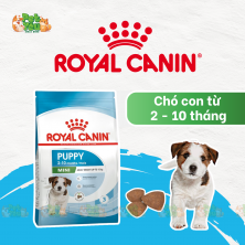 ROYAL CANIN MINI PUPPY - Thức ăn chó con giống nhỏ 