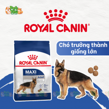 ROYAL CANIN MAXI ADULT   - Thức ăn dành cho chó lớn giống lớn 