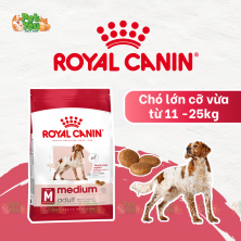 ROYAL CANIN MEDIUM ADULT  - Thức ăn dành cho lớn giống trung bình