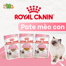 Pate Royal Canin Kitten - dành cho mèo con gói 85gr