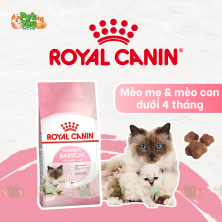 ROYAL CANIN MOTHER & BABYCAT - Thức ăn cho mèo mẹ và mèo con từ 0 đến 4 tháng tuổi