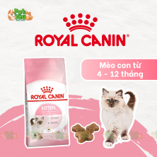 ROYAL CANIN KITTEN - Thức ăn dành cho mèo con từ 4 đến 12 tháng tuổi 