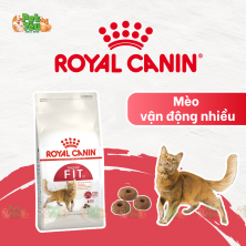 ROYAL CANIN FIT 32 - Thức ăn cho mèo trưởng thành