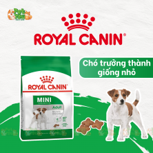 ROYAL CANIN MINI ADULT - Thức ăn dành cho chó lớn giống nhỏ