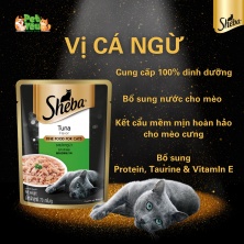 Pate Sheba dành cho mèo trưởng thành - Vị Cá Ngừ 70gr