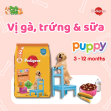 Hạt cho chó Pedigree PUPPY - Vị gà, trứng & sữa