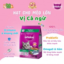 Thức ăn cho mèo lớn WHISKAS® Adult - vị cá Ngừ gói 3kg