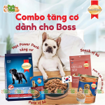 Về sản phẩm của Pet Yêu 