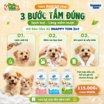 Bao lâu nên tắm cho chó? Cách chăm sóc lông da đúng cách