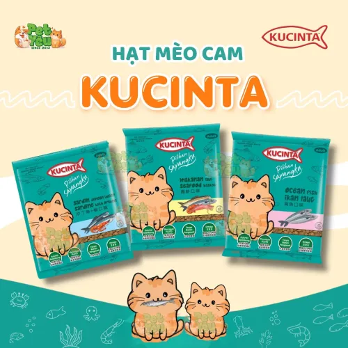 Thức Ăn Hạt Cho Mèo Kucinta Xuất Xứ Malaysia - Túi 1kg