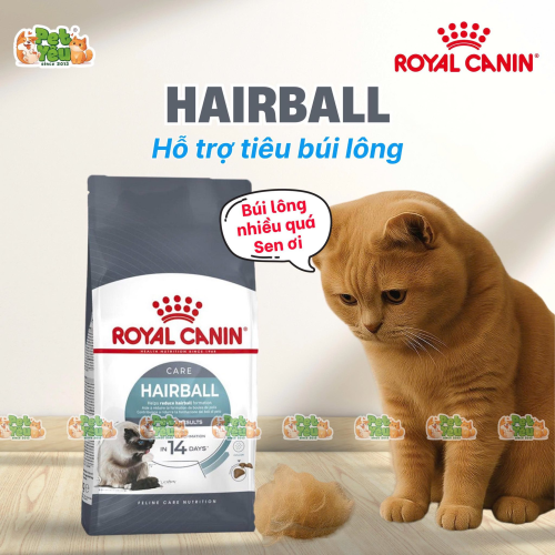 Hạt cho mèo Royal Canin HAIRBALL CARE - Hỗ trợ tiêu búi lông