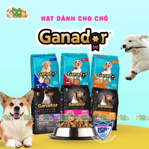 Hạt Ganador dành cho chó ( Bản thường)