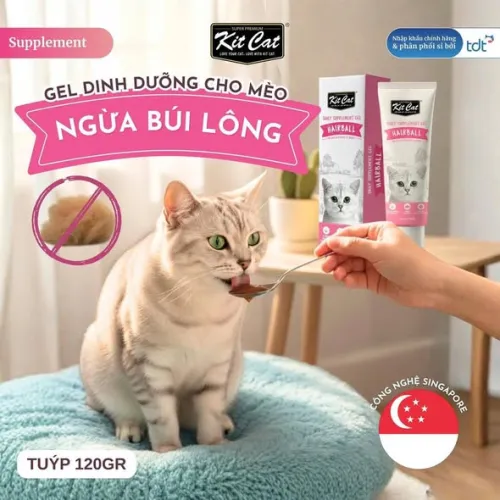 GEL DINH DƯỠNG 𝐊𝐈𝐓 𝐂𝐀𝐓 CHO MÈO CƯNG