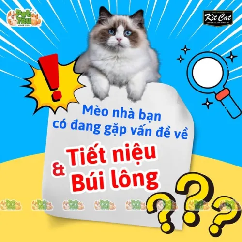 GEL DINH DƯỠNG 𝐊𝐈𝐓 𝐂𝐀𝐓 CHO MÈO CƯNG