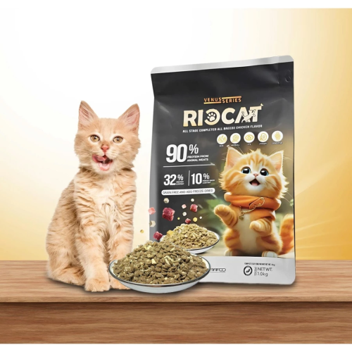 Thức Ăn Hạt cho mèo RIOCAT