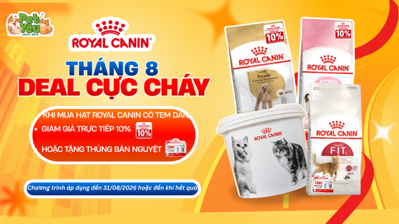THÁNG 8 - DEAL CỰC CHÁY VỚI ROYAL CANIN